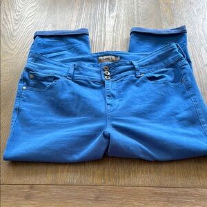 Torrid Blue Jeggings with Skinny Fit